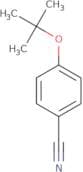 4-tert-Butoxybenzonitrile