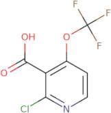 4-Hydroxy raloxifene