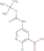 5-tert-Butoxycarbonylamino-2-chloro-nicotinic acid