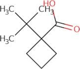 1-tert-Butylcyclobutane-1-carboxylic acid