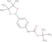 2-(tert-butoxycarbonylamino)pyridine-5-boronic acid pinacol ester