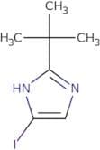 2-tert-Butyl-4-iodo-1H-imidazole