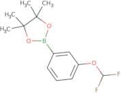 2-[3-(difluoromethoxy)phenyl]-4,4,5,5-tetramethyl-1,3,2-dioxaborolane