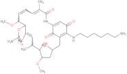 Aminohexylgeldanamycin