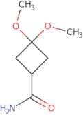 3,3-Dimethoxycyclobutanecarboxamide