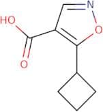 5-Cyclobutyl-1,2-oxazole-4-carboxylic acid