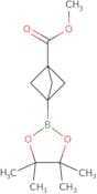 Methyl 3-(4,4,5,5-tetramethyl-1,3,2-dioxaborolan-2-yl)bicyclo[1.1.1]pentane-1-carboxylate