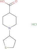 1-(Thiolan-3-yl)piperidine-4-carboxylic acid hydrochloride
