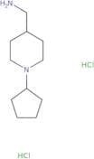 C-(1-Cyclopentyl-piperidin-4-yl)-methylaminedihydrochloride