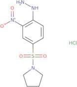1-(4-Hydrazinyl-3-nitrobenzenesulfonyl)pyrrolidine hydrochloride