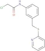 2-Chloro-N-{3-[(pyridin-2-ylsulfanyl)methyl]phenyl}acetamide