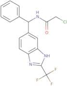 2-Chloro-N-{phenyl[2-(trifluoromethyl)-1H-1,3-benzodiazol-5-yl]methyl}acetamide