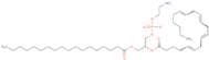 1-Stearoyl-2-arachidonoyl-sn-glycero-3-pe