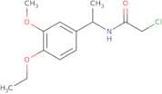 2-Chloro-N-[1-(4-ethoxy-3-methoxyphenyl)ethyl]acetamide