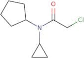 2-Chloro-N-cyclopentyl-N-cyclopropylacetamide