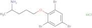 2-[(4-Aminopentyl)oxy]-1,3,5-tribromobenzene hydrochloride