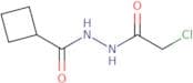 N'-(2-Chloroacetyl)cyclobutanecarbohydrazide