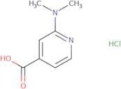 2-(Dimethylamino)pyridine-4-carboxylic acid hydrochloride