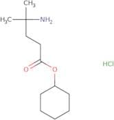 Cyclohexyl 4-amino-4-methylpentanoate hydrochloride