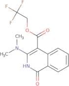 2,2,2-Trifluoroethyl 3-(dimethylamino)-1-oxo-1,2-dihydroisoquinoline-4-carboxylate
