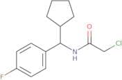2-Chloro-N-[cyclopentyl(4-fluorophenyl)methyl]acetamide