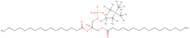 1,2-Dipalmitoyl-sn-glycero-3-phosphocholine-1,1,2,2-d4-N,N,N-trimethyl-d9