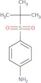 4-(2-Methylpropane-2-sulfonyl)aniline