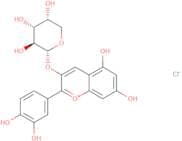 Cyanidin 3-arabinoside chloride
