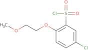 5-Chloro-2-(2-methoxyethoxy)benzene-1-sulfonyl chloride