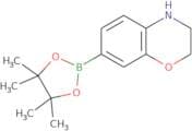 3,4-Dihydro-2H-benzo[b][1,4]oxazine-7-boronic acid pinacol ester