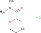n,n-dimethylmorpholine-2-carboxamide;hydrochloride