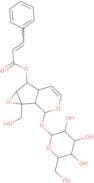 6-o-Cinnamoylcatalpol