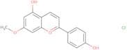Methoxyapigeninidin chloride