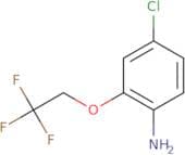 4-Chloro-2-(2,2,2-trifluoroethoxy)aniline