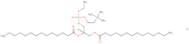 14:0 Epc (Cl salt)