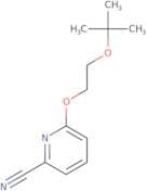 6-[2-(tert-Butoxy)ethoxy]pyridine-2-carbonitrile