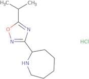 2-[5-(Propan-2-yl)-1,2,4-oxadiazol-3-yl]azepane hydrochloride