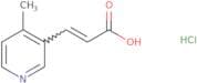 3-(4-Methylpyridin-3-yl)prop-2-enoic acid hydrochloride