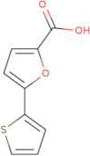 5-(Thiophen-2-yl)furan-2-carboxylic acid