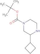 tert-Butyl 3-cyclobutylpiperazine-1-carboxylate