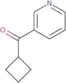 3-Cyclobutanecarbonylpyridine