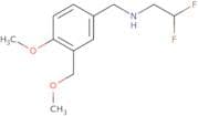 (2,2-Difluoroethyl)({[4-methoxy-3-(methoxymethyl)phenyl]methyl})amine