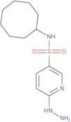 N-Cyclooctyl-6-hydrazinylpyridine-3-sulfonamide