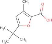 5-tert-Butyl-3-methylfuran-2-carboxylic acid