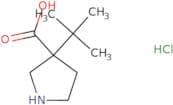 3-tert-Butylpyrrolidine-3-carboxylic acid hydrochloride