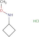 N-Methoxycyclobutanamine hydrochloride