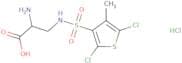 2-Amino-3-(2,5-dichloro-4-methylthiophene-3-sulfonamido)propanoic acid hydrochloride