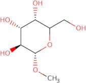 1-O-Methyl-α-D-mannopyranoside