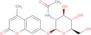 4-Methylumbelliferyl-N-acetyl-β-D-glucosaminide