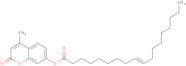 4-Methylumbelliferyl elaidate